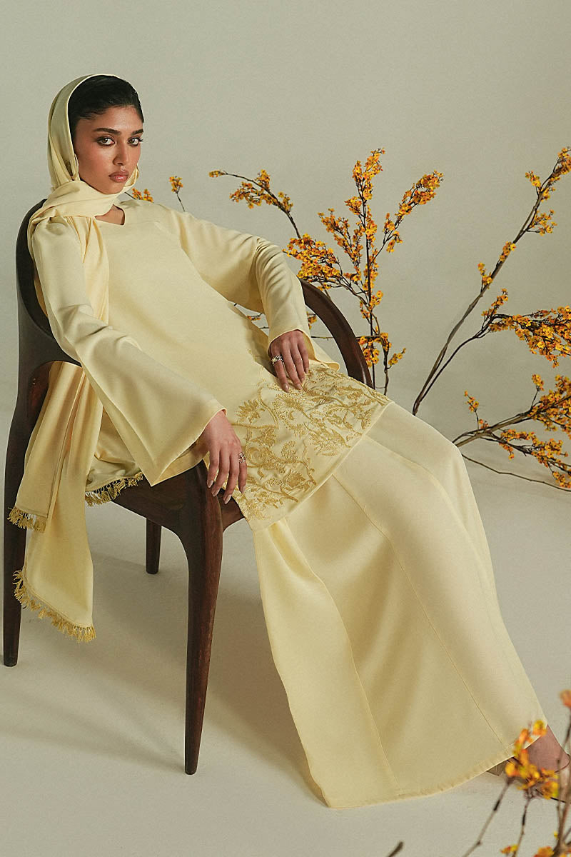 'ZARISH' SKIRT SET