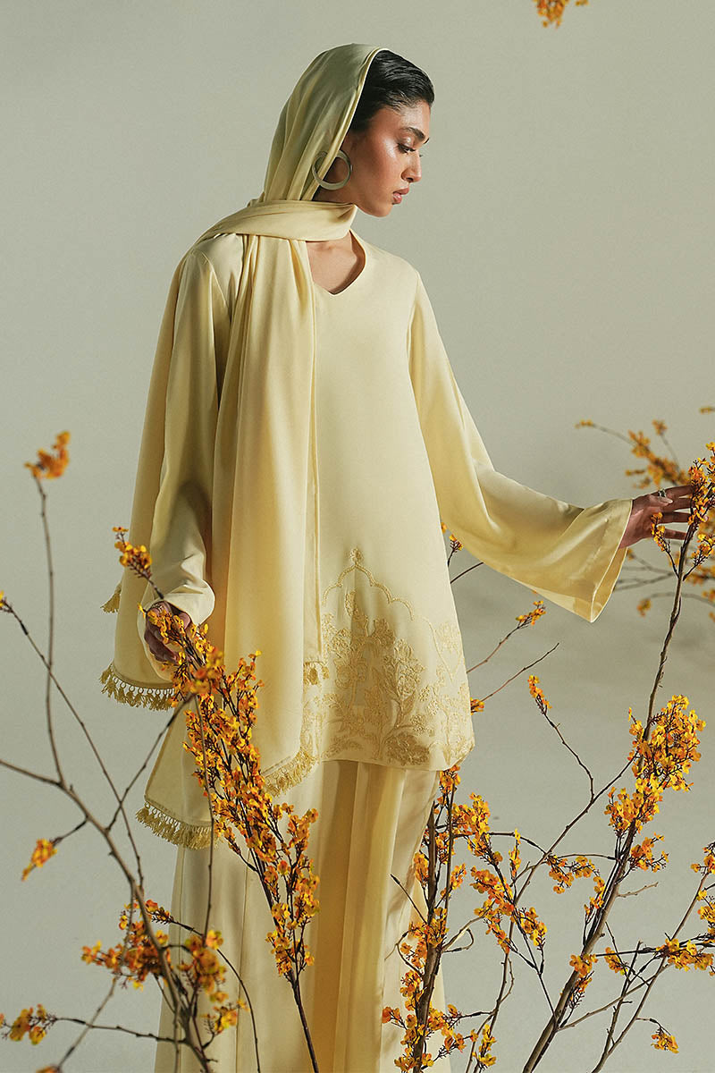 'ZARISH' SKIRT SET
